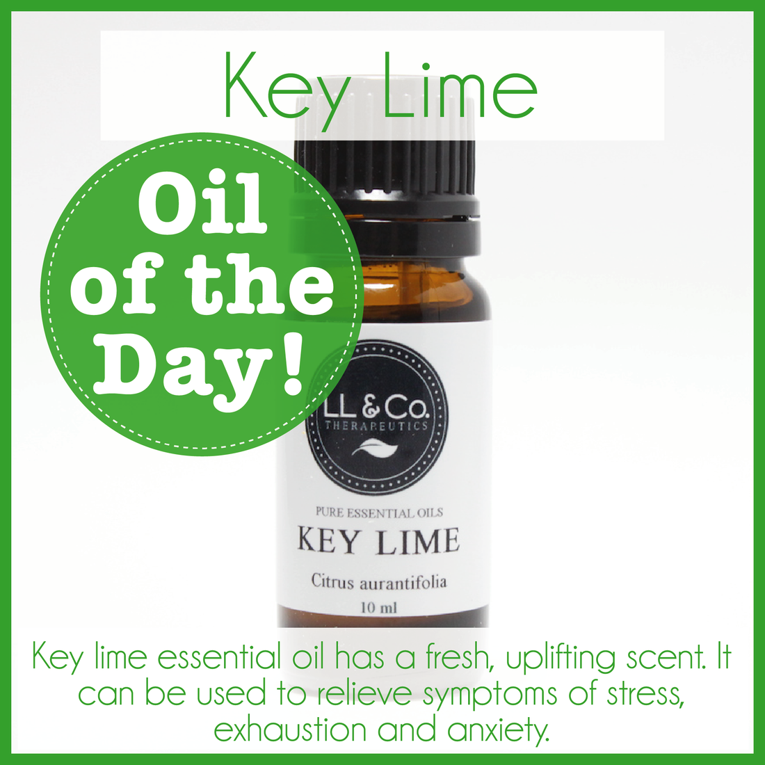 Oil of the Day - Key Lime