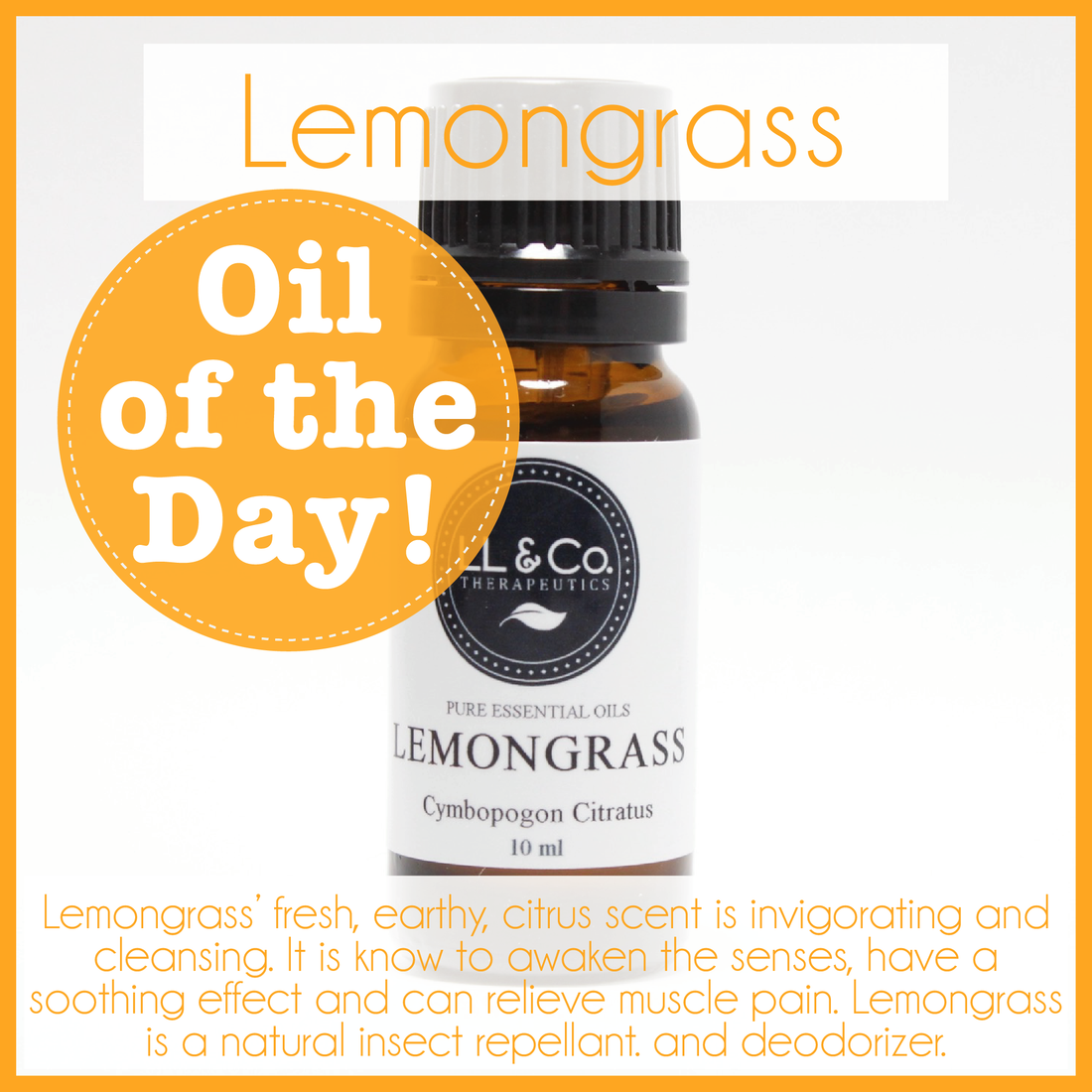 Oil of the Day - Lemongrass