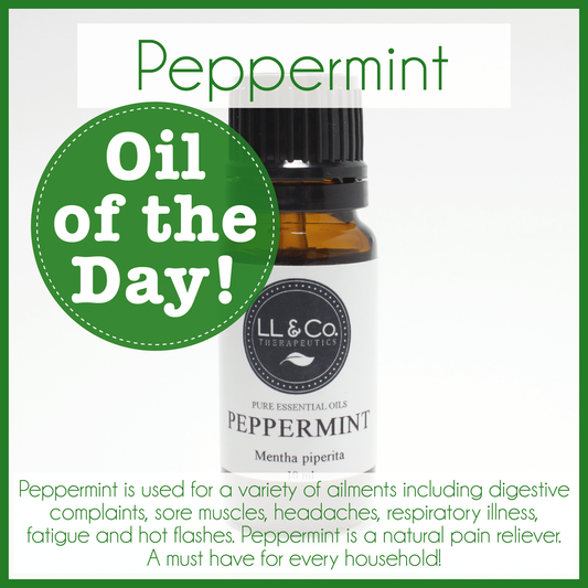 Oil of the Day - Peppermint