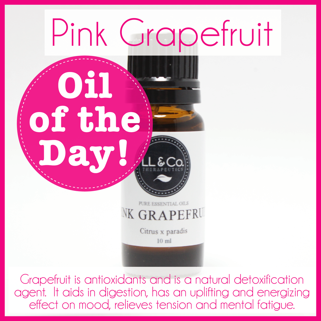 Oil of the Day - Pink Grapefruit